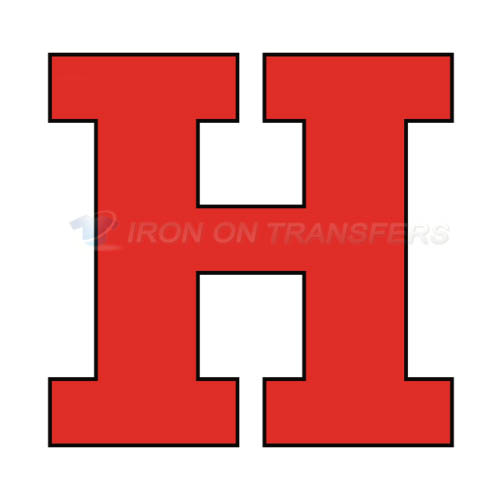 Hartford Hawks Iron-on Stickers (Heat Transfers)NO.4531